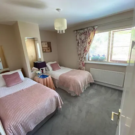 Guest house Summer In 4*
